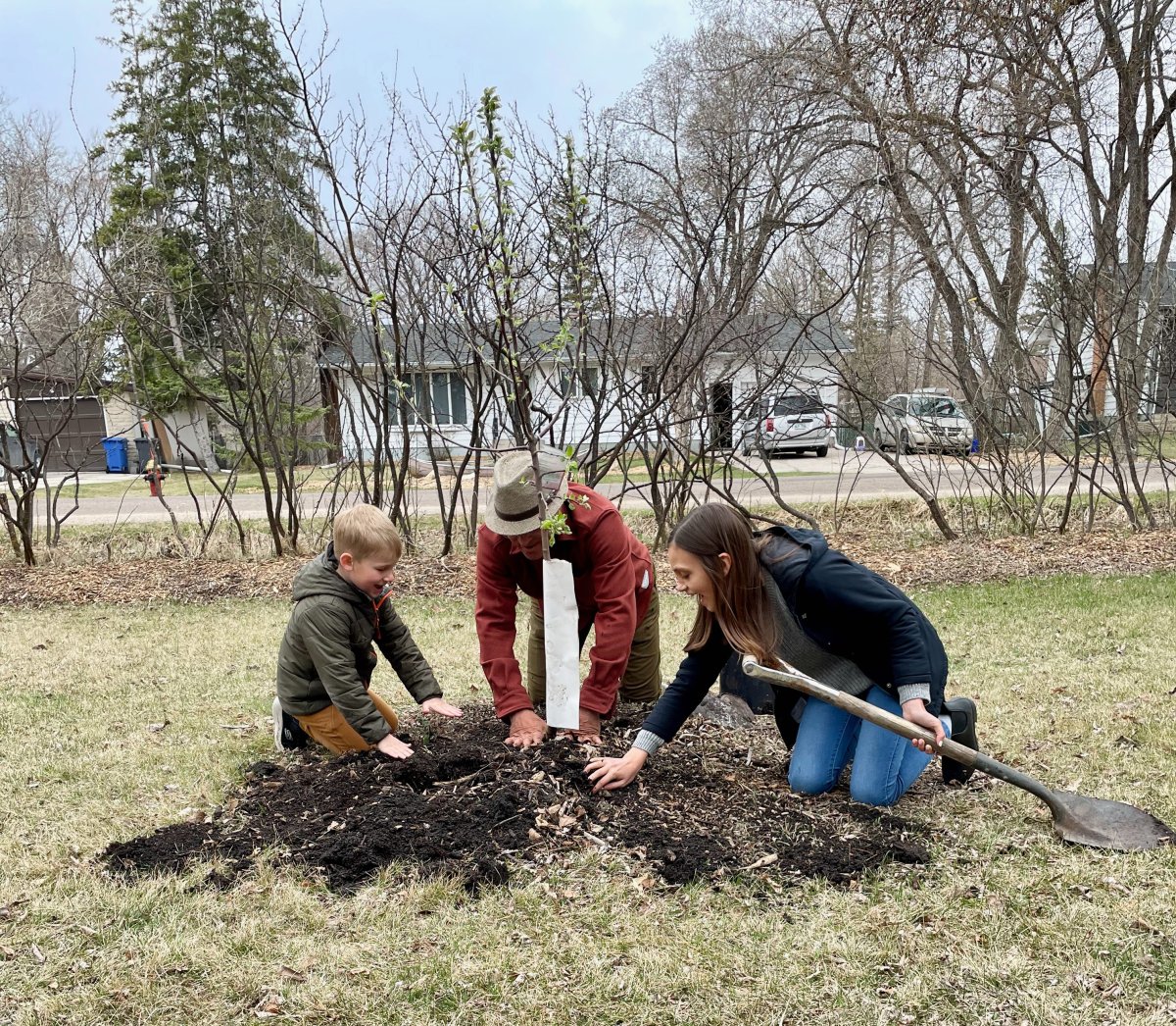 Million Tree Challenge kicks off to save Winnipeg’s canopy - image