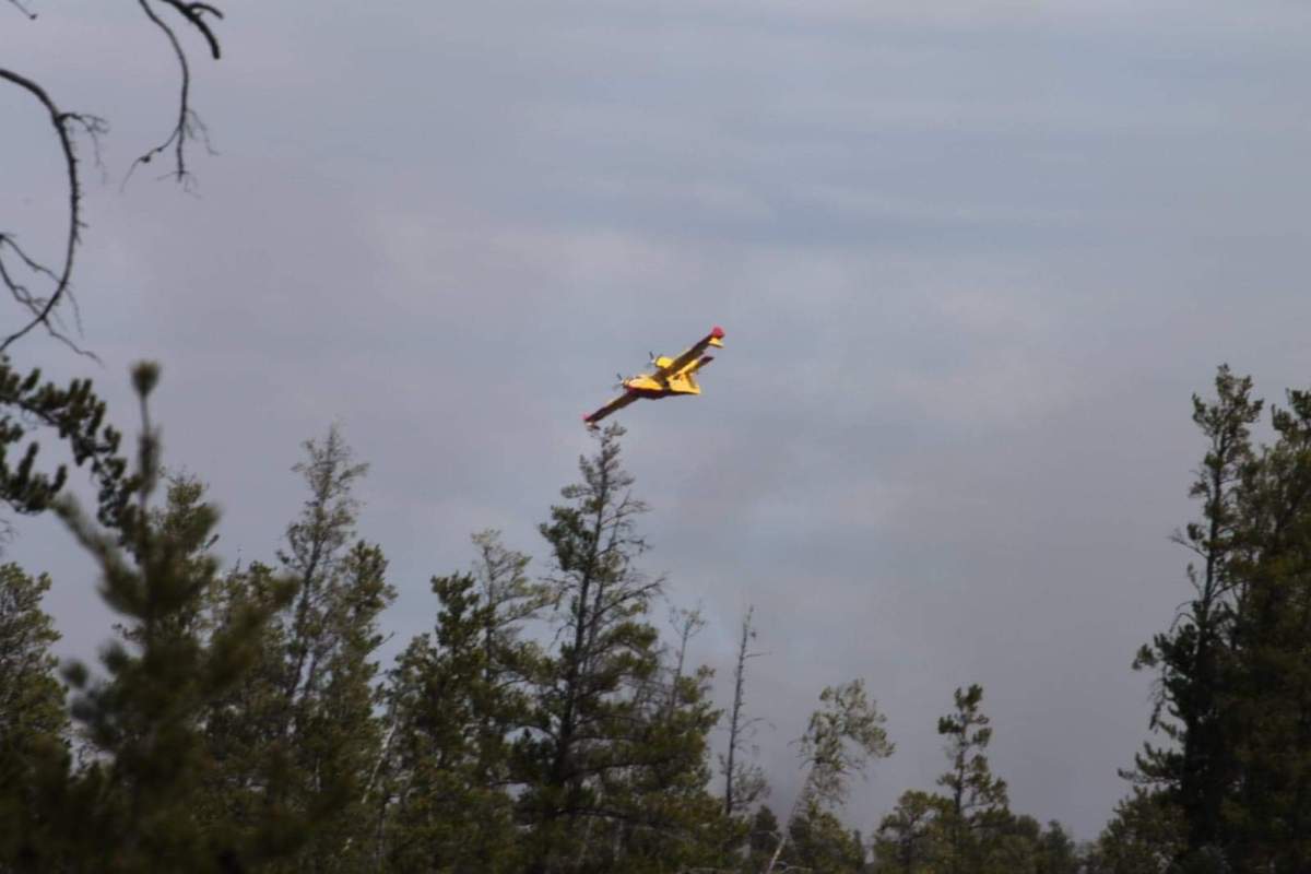 A water bomber above Sandilands Provincial Forest Sunday.