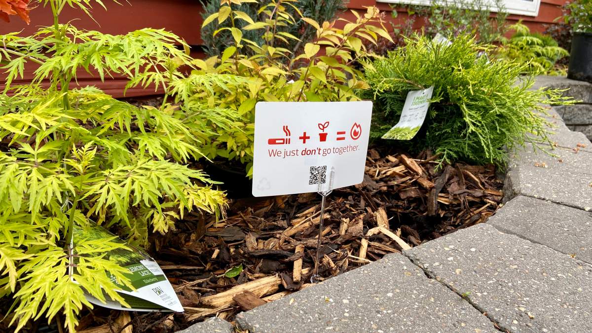 Edmonton Fire Rescue Services warns of the dangers of putting out cigarettes in potted plants.