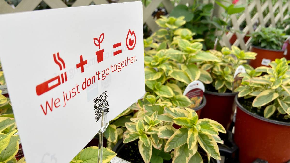 Edmonton Fire Rescue Services warns of the dangers of putting out cigarettes in potted plants.
