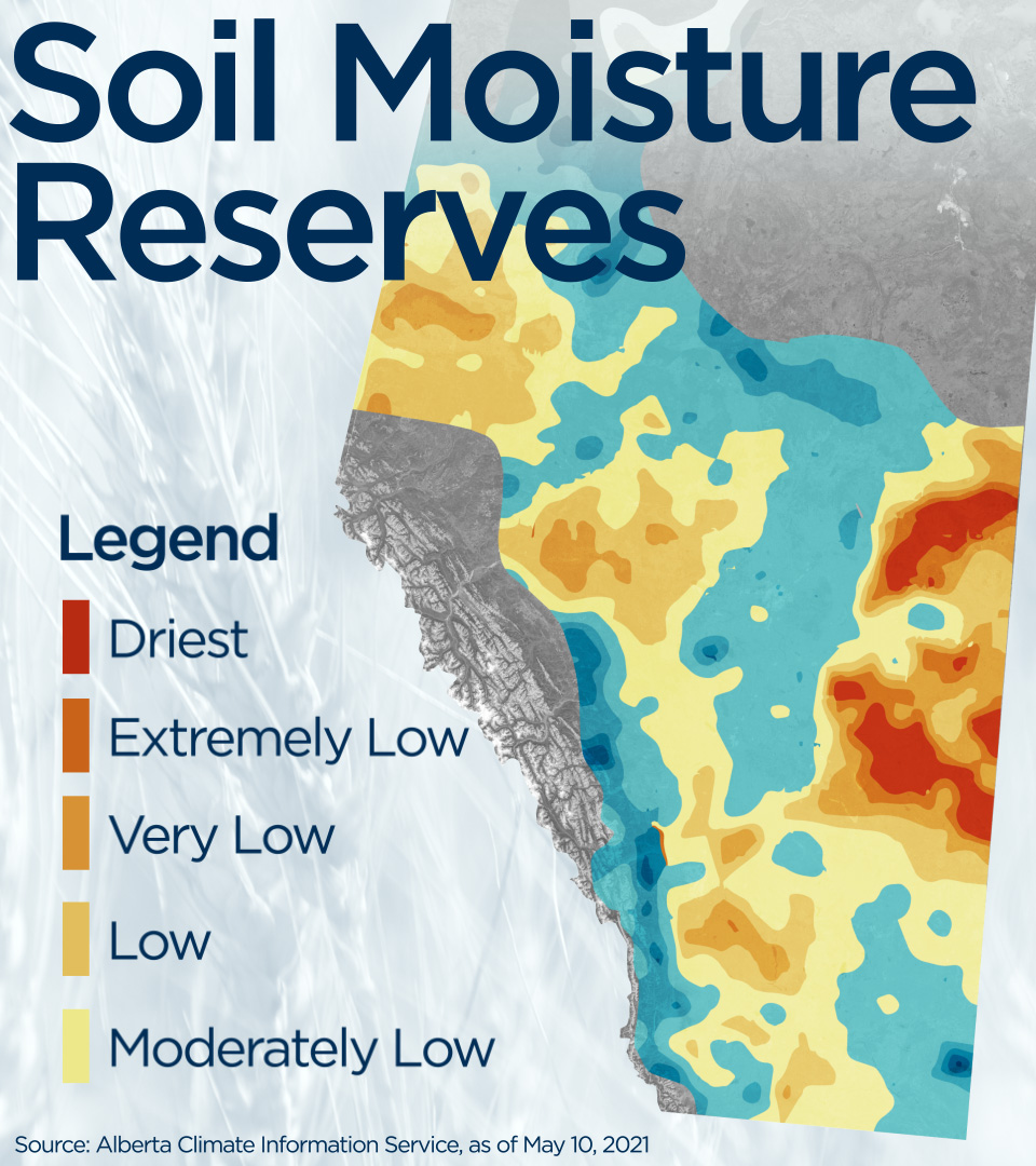 Data released by ACIS shows soil moisture reserves as of May 10 are facing one in 25-50 year lows in the “extremely low” pockets across southern Alberta.