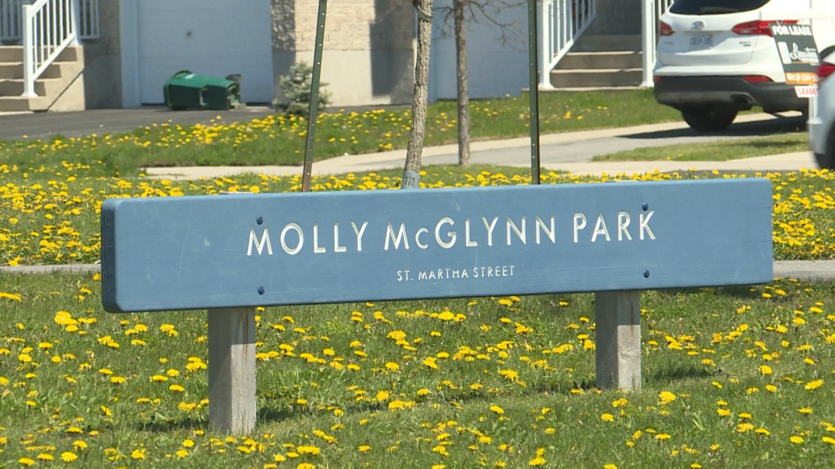 Pittsburgh Coun. Ryan Boehme has received a special request from two young students in his riding -- please fix the Molly McGlynn rink. 