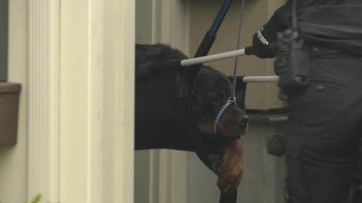 The dog was eventually removed from the home by animal control and has since been euthanized.