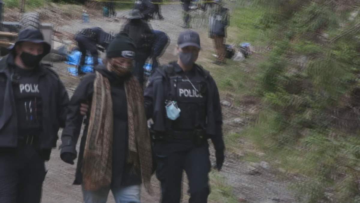 RCMP arrest an anti-logging protester on Vancouver Island. 