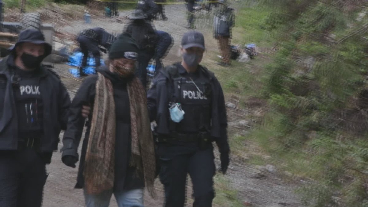 RCMP arrest an anti-logging protester on Vancouver Island. 