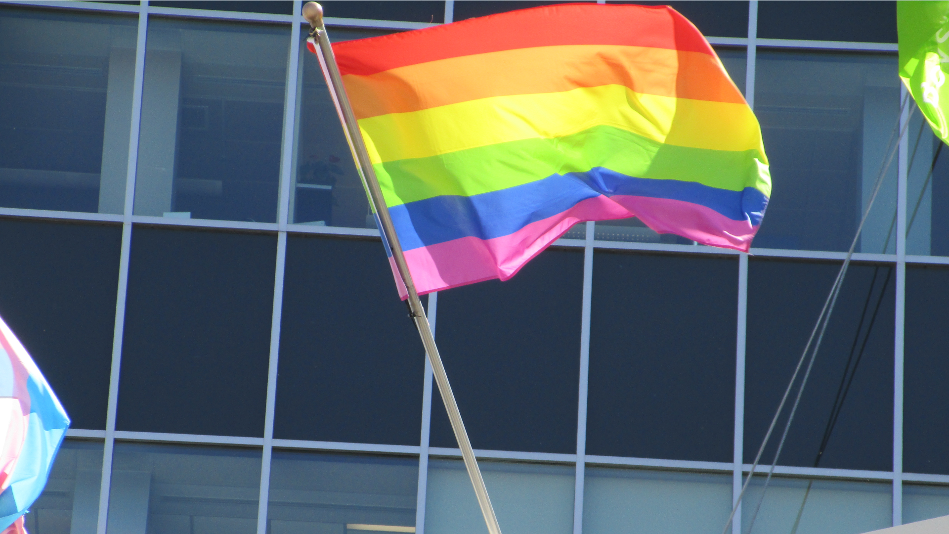 gay pride flag images
