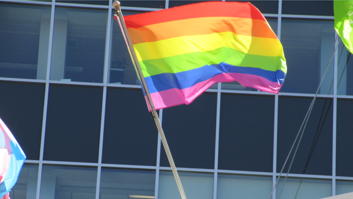A pride flag flying over Hamilton city hall in 2019.