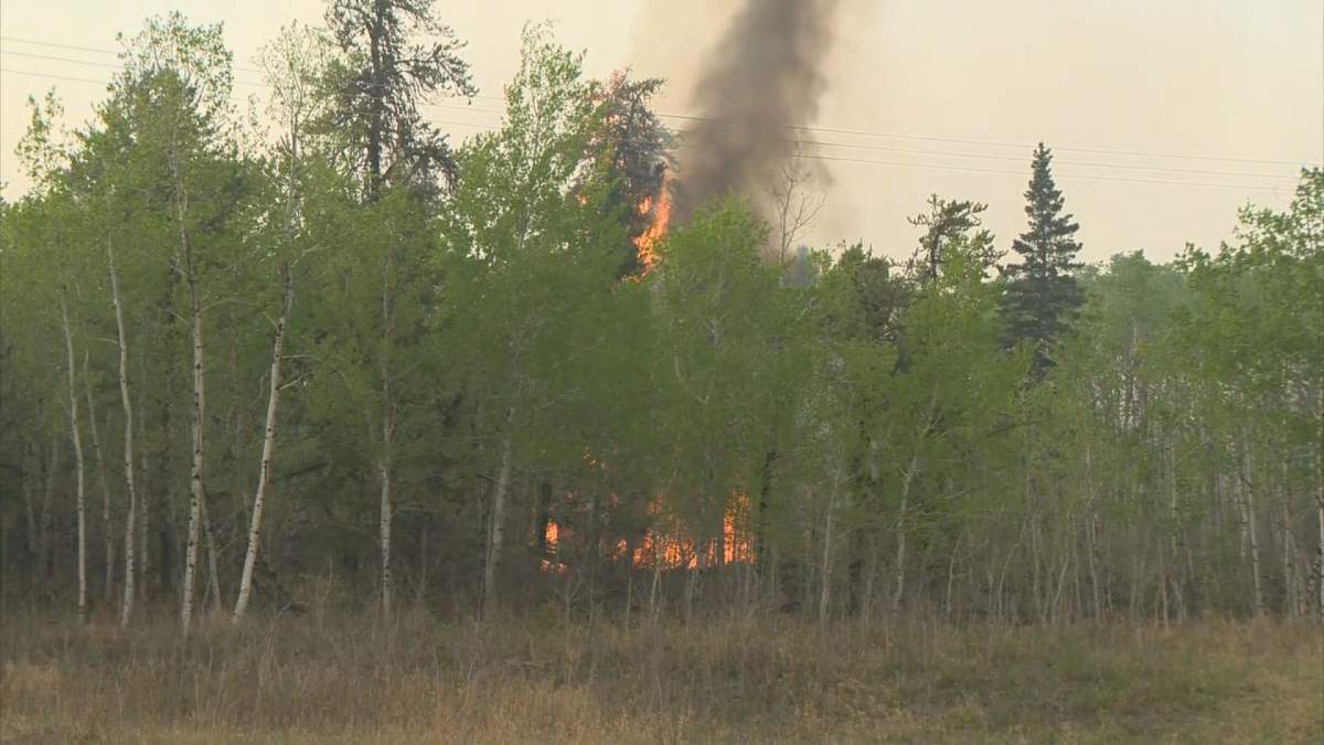 Flames, from what officials call a fast-moving wildfire, engulf trees near Prince Albert, Sask., on May 17, 2021.