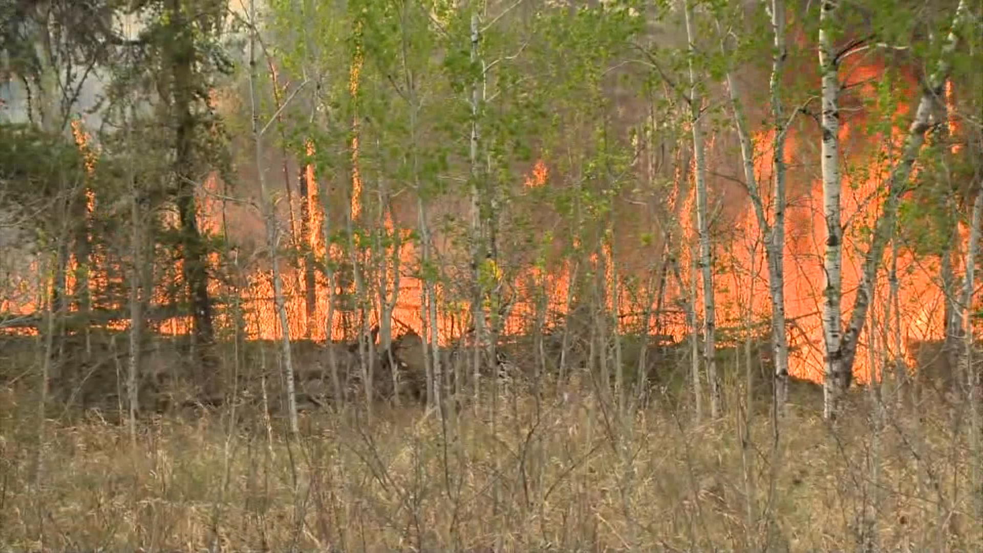 Тъй като по голямата част от Саскачеван е под гореща вълна