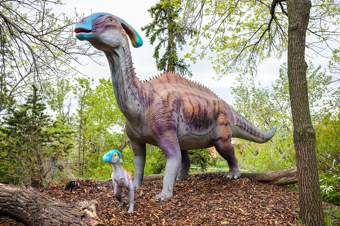 The Calgary Zoo’s new “Dinosaurs: Awakened” exhibit opens to the public on Friday, May 28.