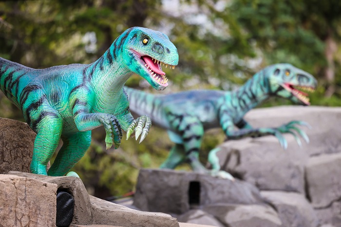 The Calgary Zoo's new "Dinosaurs: Awakened" exhibit opens to the public on Friday, May 28. 