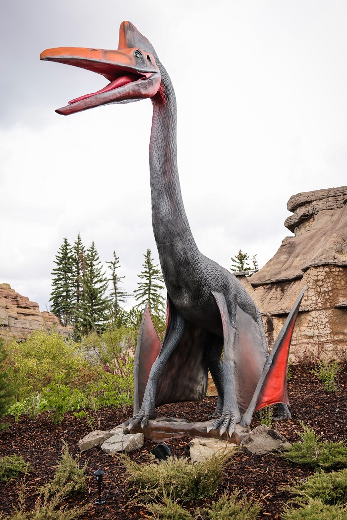 Dinosaurs Dino Animatronic at The Calgary Zoo. Photo Credit: Sergei Belski
