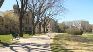Despite a small overall enrollment number increase for the University of Saskatchewan, fewer international students are roaming the halls.
