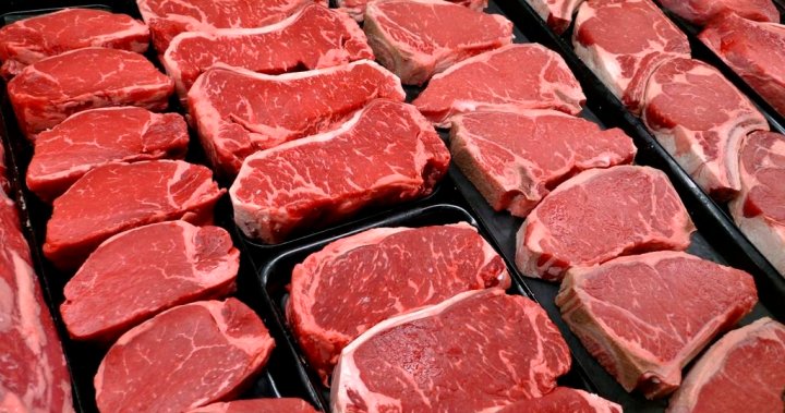 Beef industry voices ‘serious concerns’ about Coutts border blockade