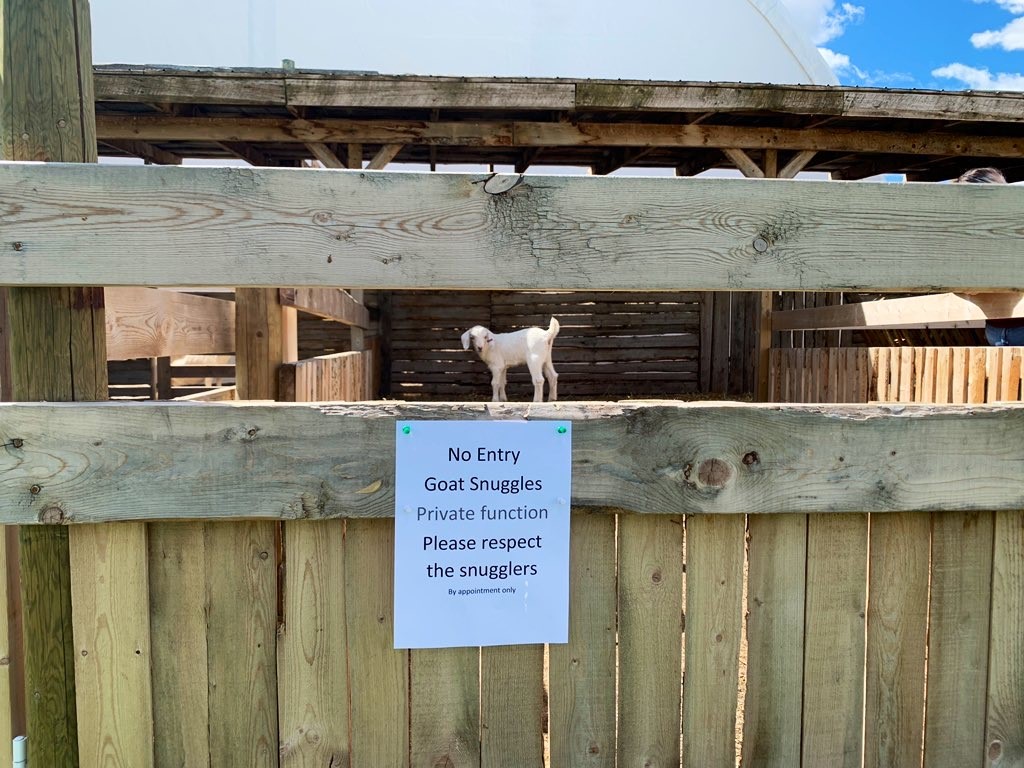 Sign at the Lethbridge Corn Maze where people can book a goat-snuggle session.