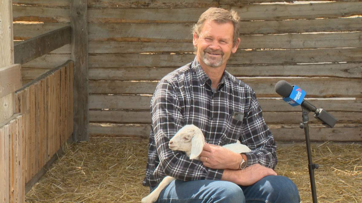 Farm owner Theo Slingerland snuggling a baby goat.