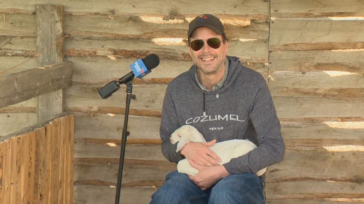 Ed Johnson was happy to spend Saturday snuggling goats.