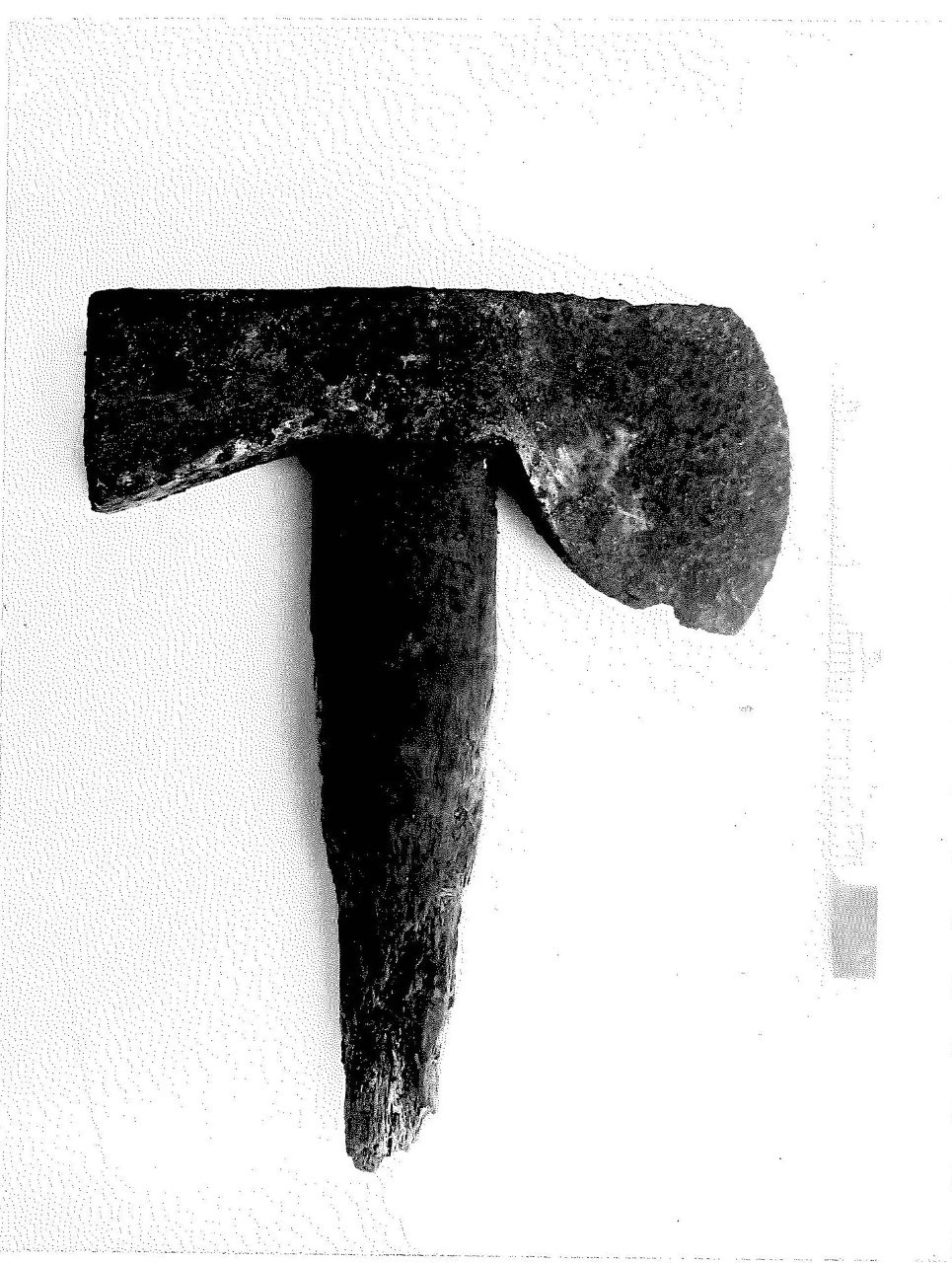 A crime scene photo of the hatchet found at the scene in Stanley Park.