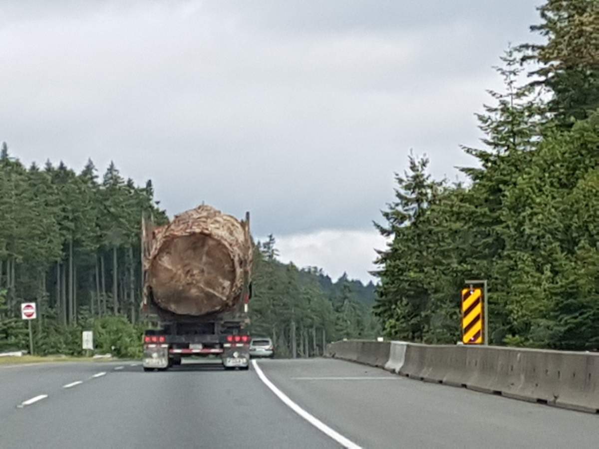 Lorna Beecroft took this photo on Tuesday morning on the Nanaimo Parkway on Vancouver Island.