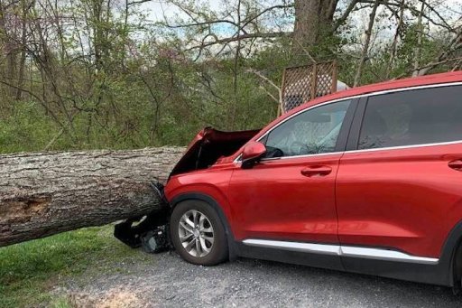 A tree is shown after it toppled onto a van and a portable toilet at Gettysburg National Military Park in Pennsylvania on April 30, 2021.