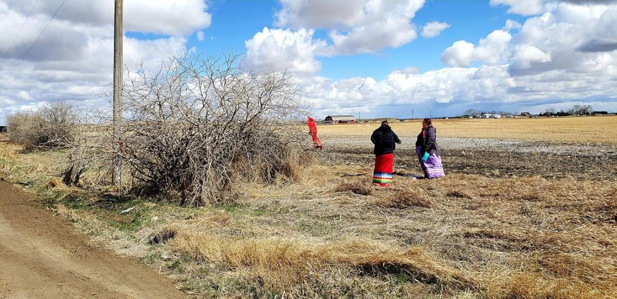 Deborah hanging dress to honor her sister.