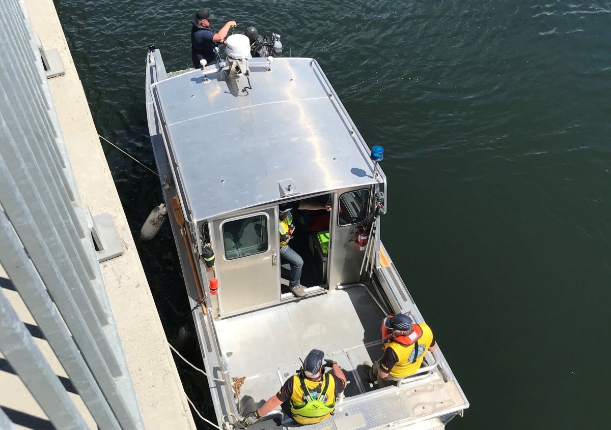 On Sunday, the search resumed for missing scuba diver Brian Lannon, presumed drowned in Okanagan Lake. 