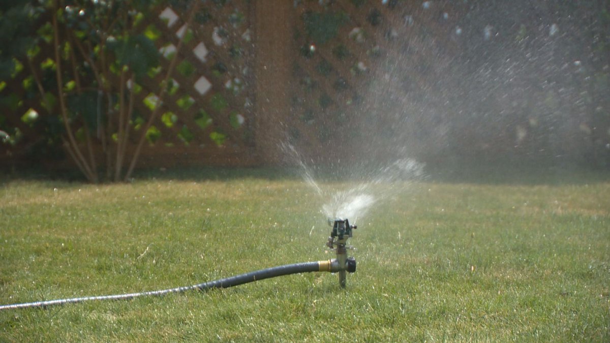 As a dry summer continues in Hamilton, the city's conservation authority made a plea to residents to lower water usage.