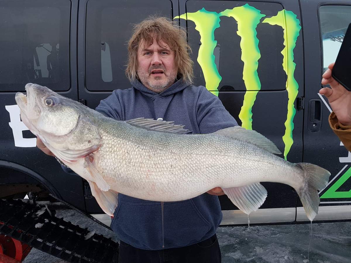 Fishing guide Todd Longley with a large greenback walleye on Lake Winnipeg.