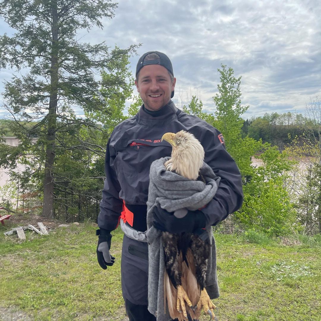 Blois says he sees eagles almost every day, but he’s never been this close to one.