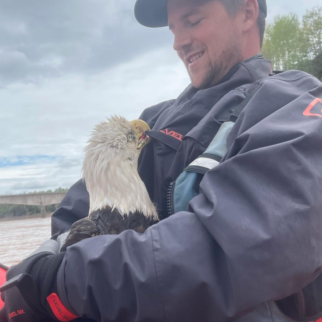 Blois says the eagle was mostly well-behaved on the way back to shore.