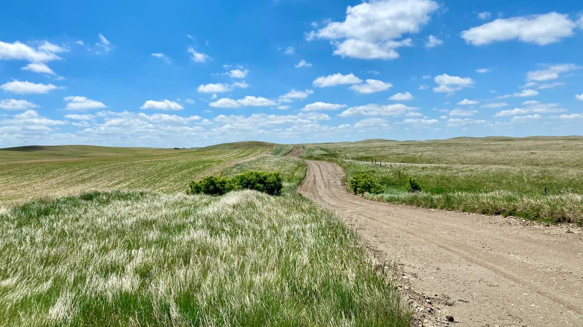 The Your Saskatchewan photo of the day for June 30 was taken by Pat Anderson in Big Beaver.