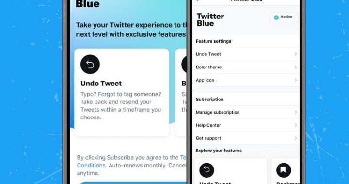 Twitter Blue ‘probably’ coming back by end of next week: Elon Musk
