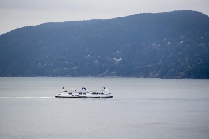 B.C.’s South Coast hit with heavy winds causing power outages, ferry troubles