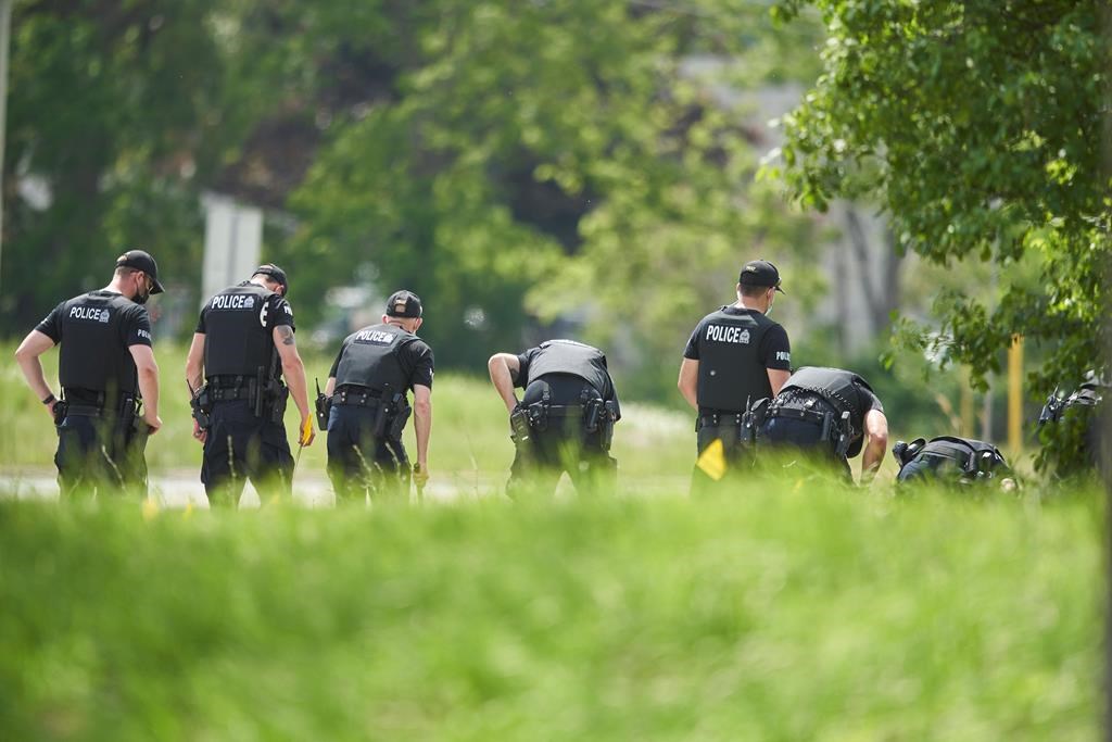 A line of police officers look for evidence at the scene of a car crash in London, Ont., Monday, June 7, 2021. The National Council of Canadian Muslims says it is “beyond horrified” by the vehicle attack, which killed four members of a family in London, Ont., Sunday. THE CANADIAN PRESS/Geoff Robins.