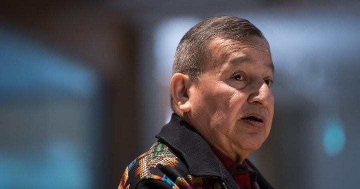 UN declaration is focus of government, First Nations meetings in B.C., says grand chief