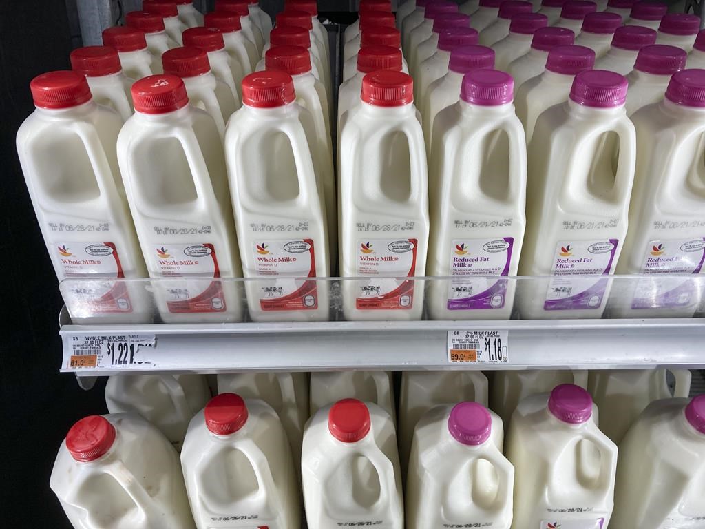 Shown are milk jugs at a grocery store in Roslyn, Pa., Tuesday, June 15, 2021.