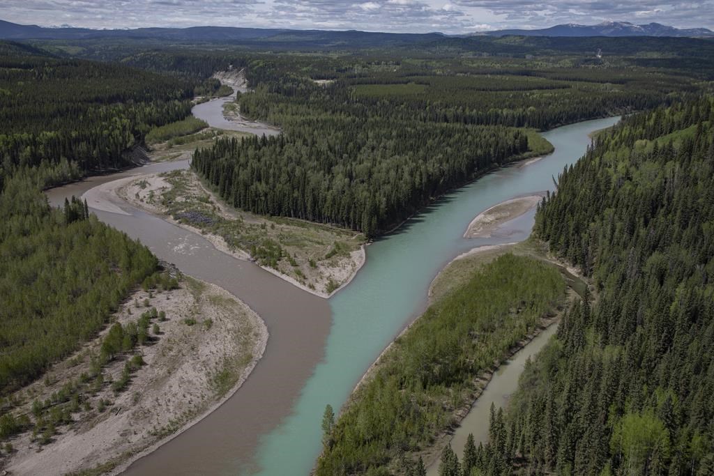The confluence of the Ram and Clearwater rivers near the Ram River Coal Corp. proposed Aries Mine Pit site west of Rocky Mountain House, Alta., Tuesday, June 1, 2021.