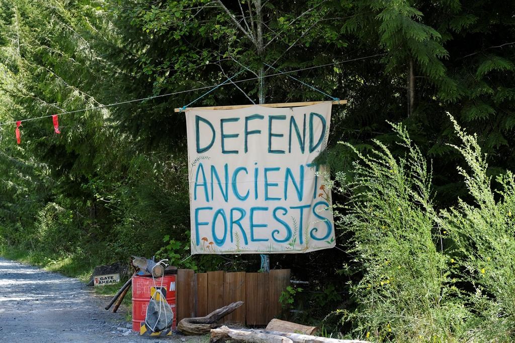 A sign is shown at the entrance to Eden blockade in the Fairy Creek area near Port Renfrew, B.C. on Tuesday, May, 11, 2021. Police arrested 18 people Friday as they continued to enforce an injunction against blockades set up to prevent old-growth logging on southern Vancouver Island. THE CANADIAN PRESS/Jen Osborne.