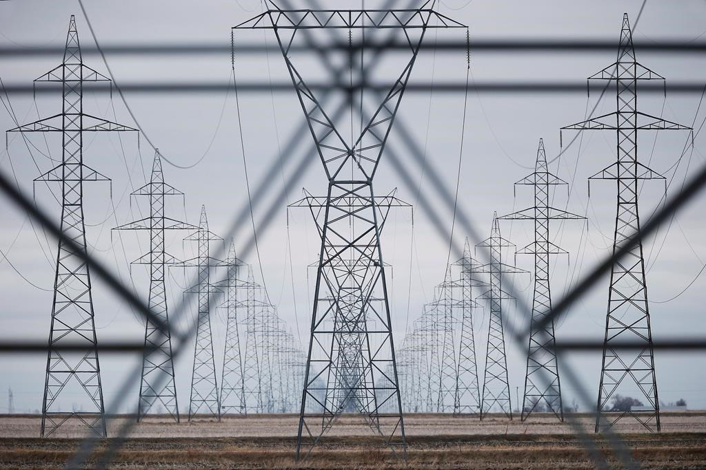 Manitoba Hydro power lines are photographed just outside Winnipeg in this file photo.