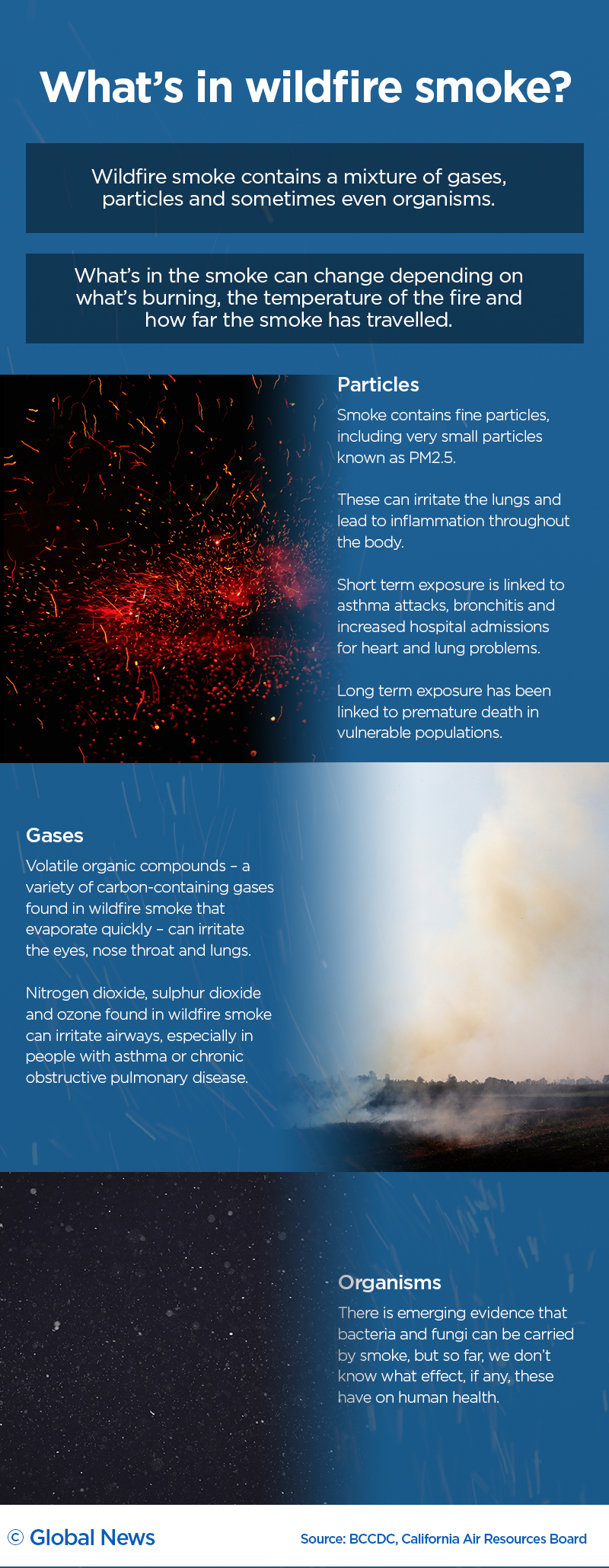 The particles, gases and organisms in wildfire smoke — and what they