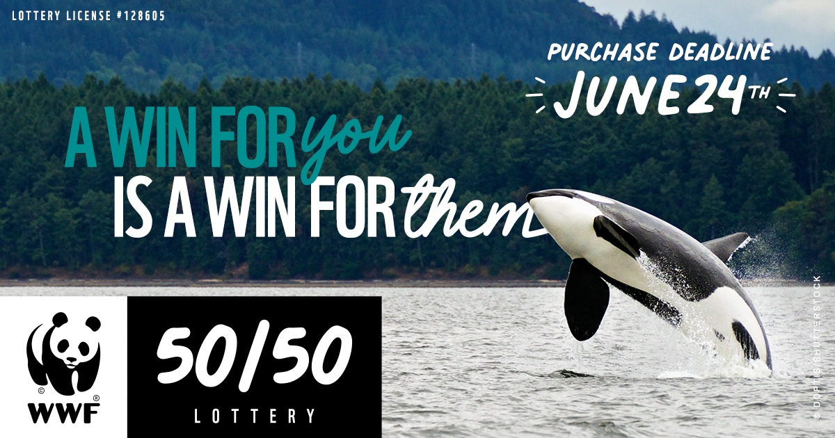 WWF-Canada’s 50/50 Lottery (Online) https://www.wwf5050lotterybc.ca/ - image
