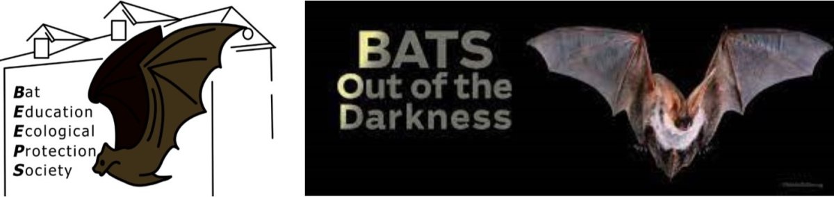 Grand Opening – Bats Out of the Darkness – BEEPS Peachland - image
