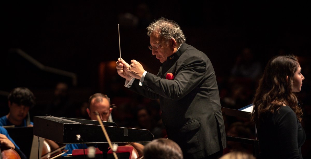 Ontario's police watchdog is investigating after a chain of events that included a hit-and-run that killed renowned Hamilton conductor Boris Brott.