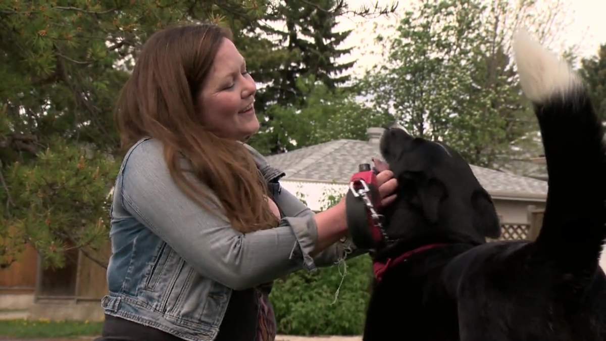 Stephanie MacIntyre and her dog Luna – thankfully neither were injured after being surrounded by growling coyotes on Sunday.