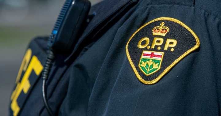34-year-old man dies after being struck by transport truck on Highway 401 in Whitby