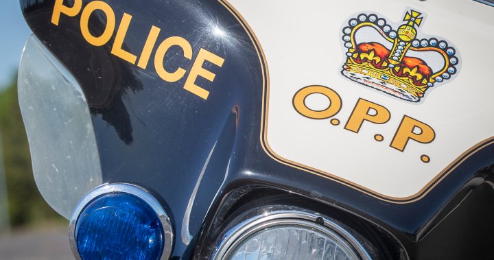 Мъж от Уинипег с неизпълнени заповеди, арестуван за притежание от полицията в Онтарио