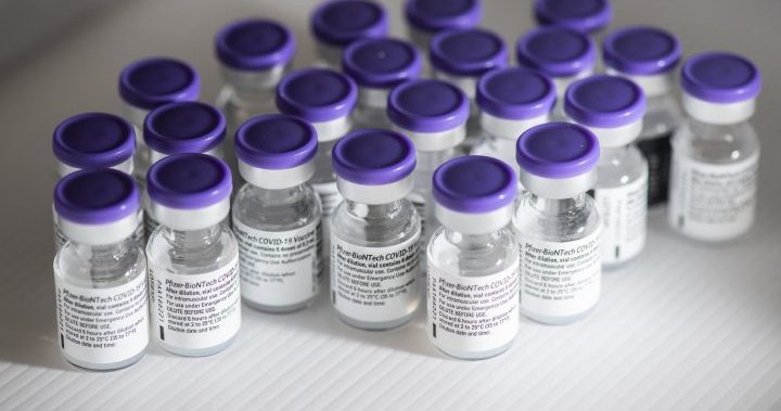 Longer gap between Pfizer COVID-19 vaccine shots boosts antibodies higher, study finds – National | Globalnews.ca