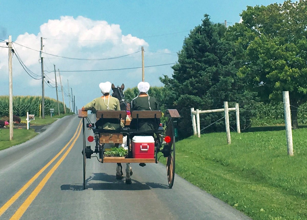 Young women from Pennsylvania's Amish community ride a horse and carriage on July 23, 2016, through Lancaster County.