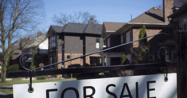 Canada’s housing market unlikely to cool as new home buyers opt for variable loans