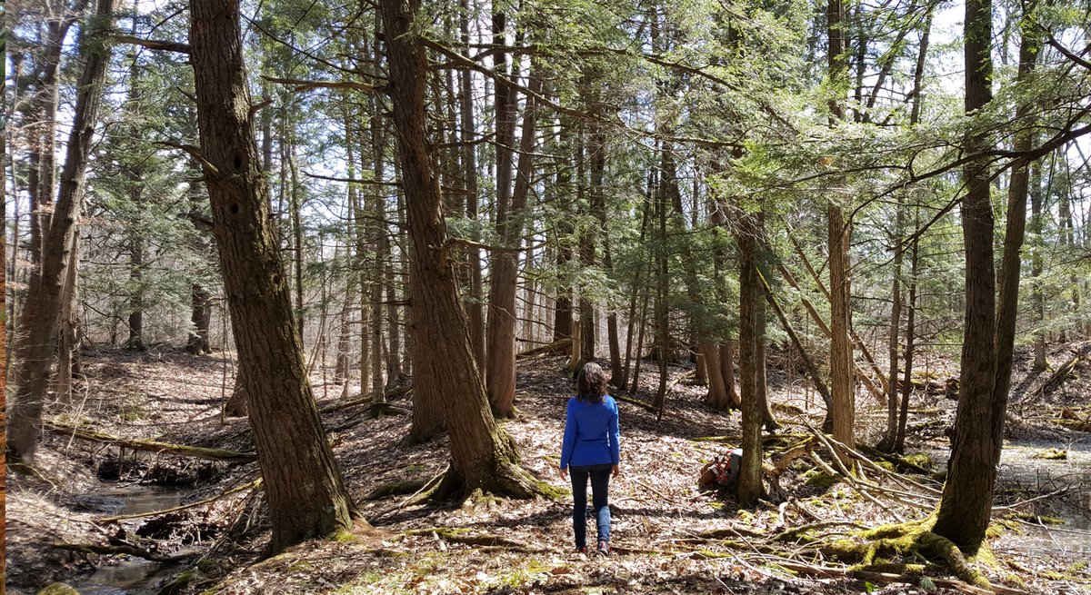 The Kingston region's conservation authority is asking residents to submit feedback on changes proposed to Ontario Conservation Authorities Act.